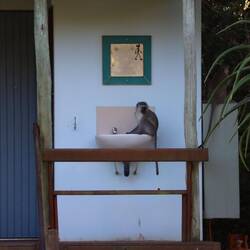 ... irgendwann muss ich dann aber für Ordnung sorgen...