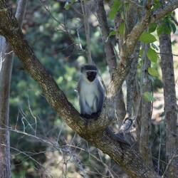 ...sonst ist niemand anwesend