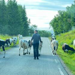 Der deutsche Cowboy im Einsatz