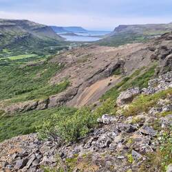 Und irgendwann war er weg der Pfad ...😵‍💫