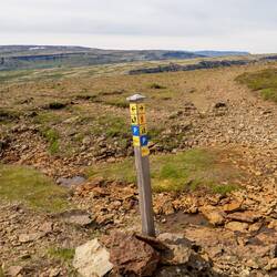 Hier haben wir uns für links entschieden 😉