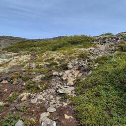 Laut Google Map muss irgendwo da oben der Weg sein...