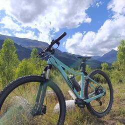 Mein Mountainbike vor den Mountains 😍