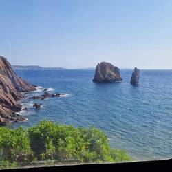 Blick aus dem Küchenfenster