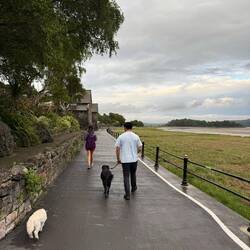 Walking the dogs on the coastline(it's an estuary so very sandy!)