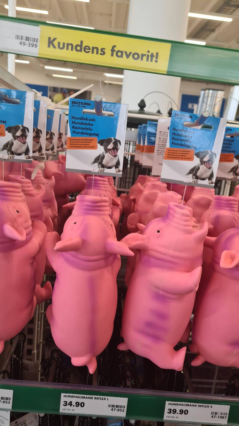 Kleine rosa Furz/Quiek-Schweinchen...