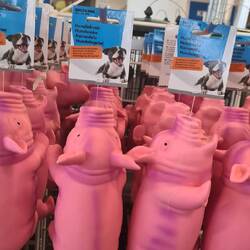 Kleine rosa Furz/Quiek-Schweinchen...