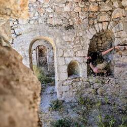 Did you see the gecko as well?