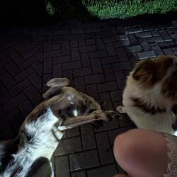 These two cutie pies 🥰