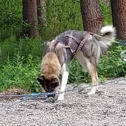 Nach der Demo gibt's Belohnung 🍗