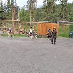 Vor dem Start ist die Freude groß 🐾🐾