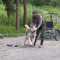 Und danach wieder in die Hütte ... oder auch nicht 😁