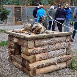 OMG, schon wieder diese langweiligen Touristen 😑