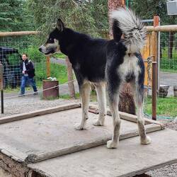 Der geht nächstes Jahr in Rente, mit neun Jahren dann 👍