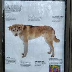 Für Interessierte ...