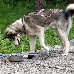 Erst mal von allen Seiten beäugen ...