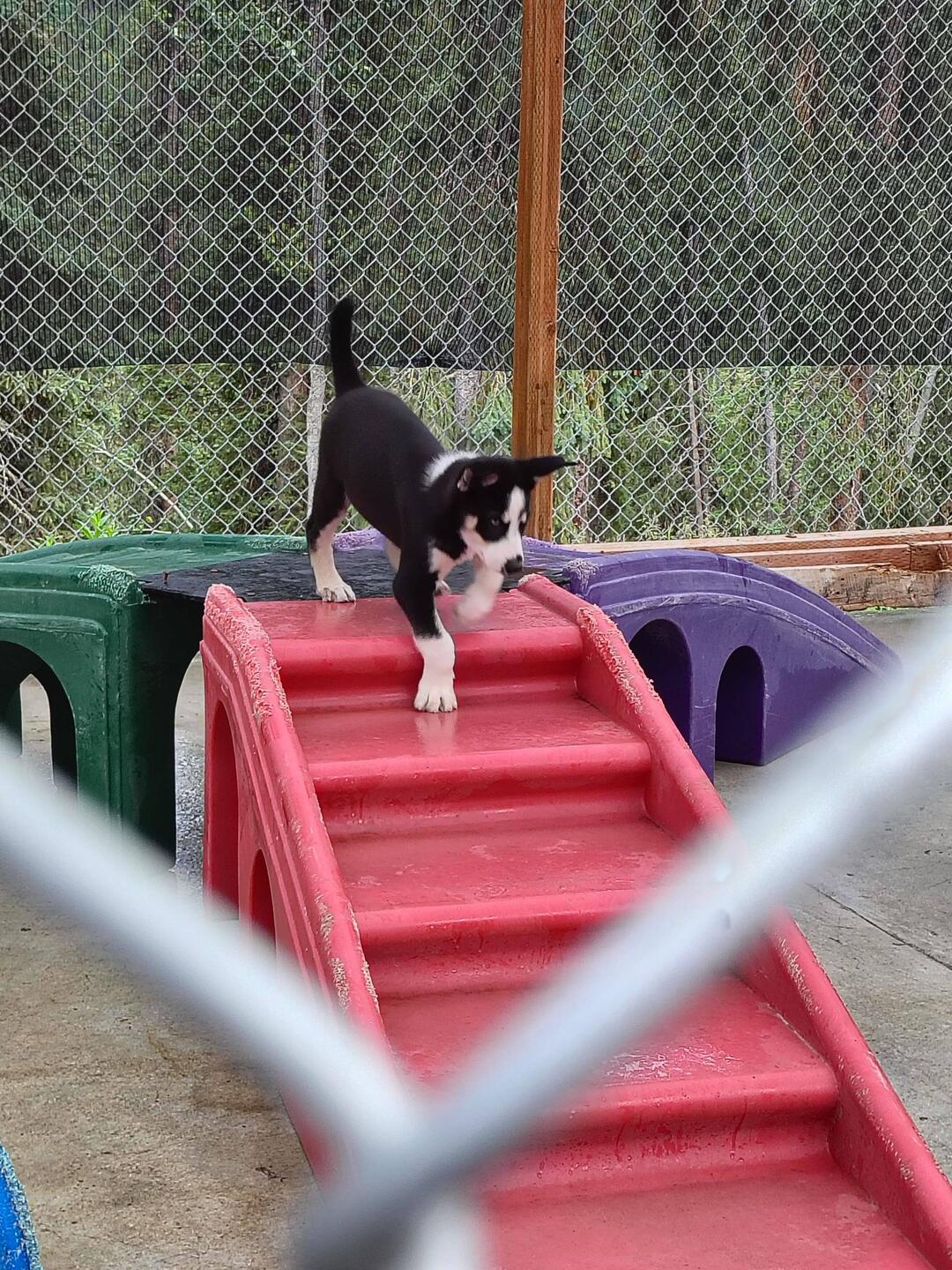 Oh, rote Treppe ganz für mich allein 🤩