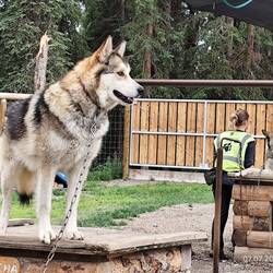 Und andere Schönheiten ...