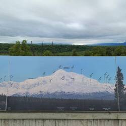 Tja, das wäre Ihre Aussicht gewesen ... am Denali Viewpoint South 🫥