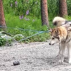 Manche bleiben misstrauisch ...