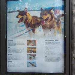 ... die rennen echt gerne 👏