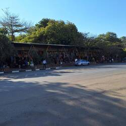 Craft and curio market