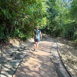 Nous voilà partis dans le parc Pulau Pinang, pour une belle rando assez physique !