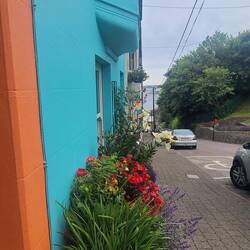 Cobh is the "Tidiest Large City" in Ireland.