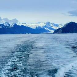 Zuerst einmal aus dem Fjord