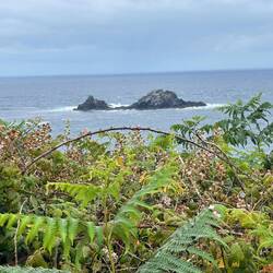 Charles de Gaulle laying down maybe!