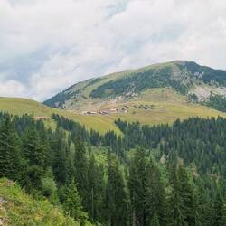 Ausblick auf die Feistriezer Alm