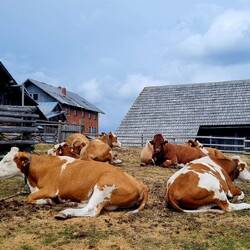 ... und ihre müden Ladies!😂