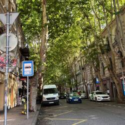 Sehr angenehm unter den grossen, alten Bäumen, fast dunkel