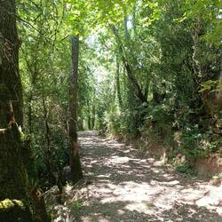 So herrlich einfach 🐦🐦🎶