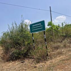 20min from Aurgan Bay fruit is cheaper 250R for a coconut in Arugan, free here, tourist vs local