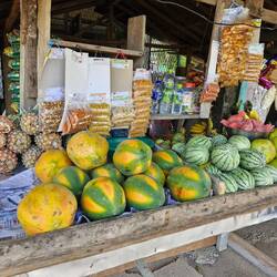Had to stop for a Papaya - 160r per kilo