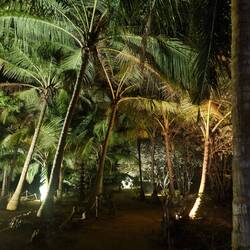 Looks pretty at night.