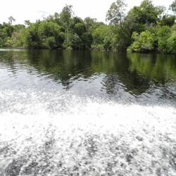 Last boat to the lodge