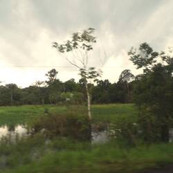 Landscape Amazonia