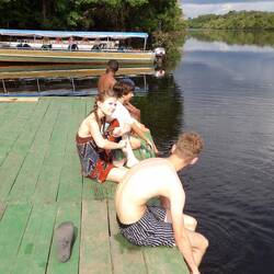 Waiting for the boco to reappear