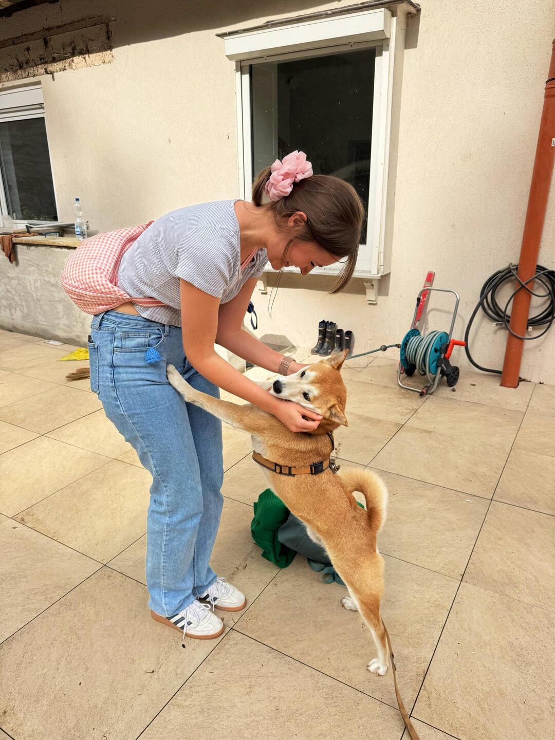 Mica hat seine Merle wieder