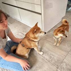 Das ist aber mein Mensch 😐