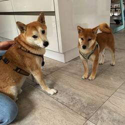 Muss ich etwa teilen 😐