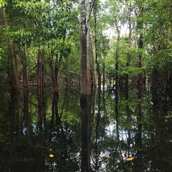 Der Wasserstand ist noch sehr hoch, aber schon ca 2m gesunken