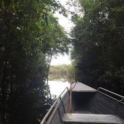 Und durch den Wald führen viele Wasserwege