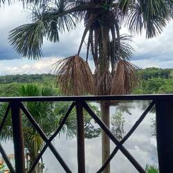 View from the balcony