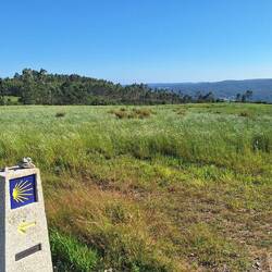 Stunning views today