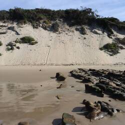 ...bei Ebbe kann man über diesen schmalen Streifen super laufen