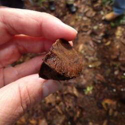 So wie wir sie kenneb