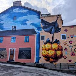 Graffiti in schön 👌🏼Immer mal wieder findet man komplett bemalte Fassaden 🎨🫟